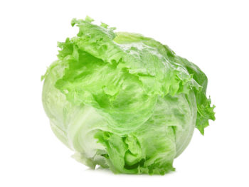 Lettuce - Iceberg