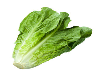 Romaine 